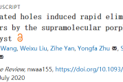 颠覆 | 有望攻克肿瘤！清华大学朱永法等团队开发新方法，10分钟内消除肿瘤，50天内小鼠存活率从0上升到100%